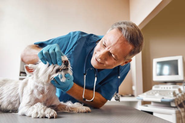 Best Same-Day Emergency Dentist in Avondale Estates, GA